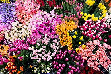 《光与影：33号远征队》已成PS商店评分最高原创IP